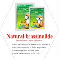 Природный Brassinolide 60% Tc порошок